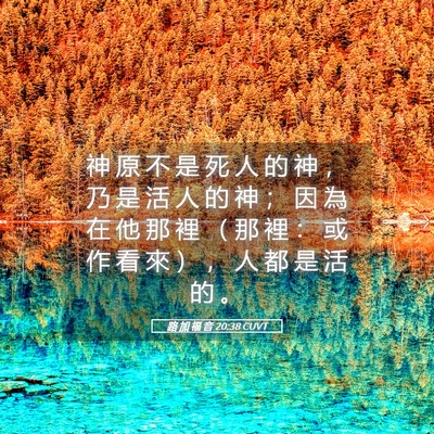 Picture 05 - 路 加 福 音 20:38 CUVT - 神 原 不 是 死 人 的 神 ， 乃 是 活 - Bible Verse Picture