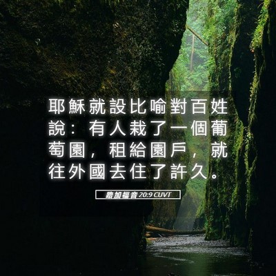 Picture 05 - 路 加 福 音 20:9 CUVT - 耶 穌 就 設 比 喻 對 百 姓 說 ： 有 - Bible Verse Picture