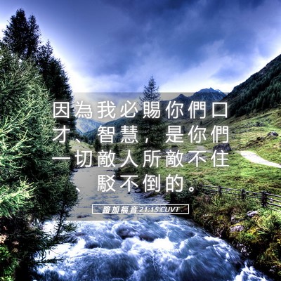 Picture 05 - 路 加 福 音 21:15 CUVT - 因 為 我 必 賜 你 們 口 才 、 智 慧 - Bible Verse Picture