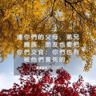 Picture 05 - 路 加 福 音 21:16 CUVT - 連 你 們 的 父 母 、 弟 兄 、 親 族 - Bible Verse Picture