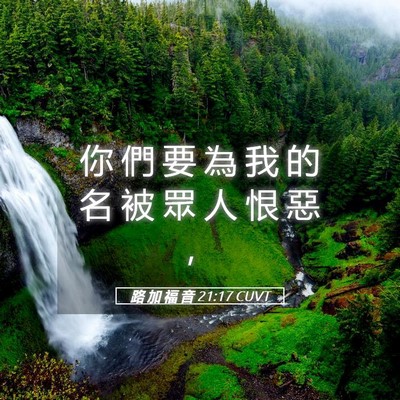 Picture 05 - 路 加 福 音 21:17 CUVT - 你 們 要 為 我 的 名 被 眾 人 恨 惡 - Bible Verse Picture