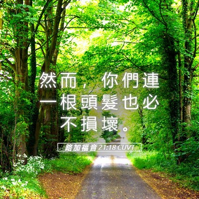 Picture 05 - 路 加 福 音 21:18 CUVT - 然 而 ， 你 們 連 一 根 頭 髮 也 必 - Bible Verse Picture