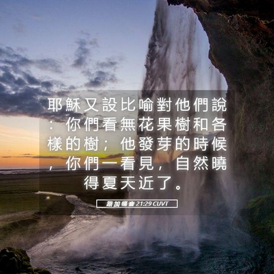 Picture 05 - 路 加 福 音 21:29 CUVT - 耶 穌 又 設 比 喻 對 他 們 說 ： 你 - Bible Verse Picture