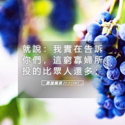 Picture 05 - 路 加 福 音 21:3 CUVT - 就 說 ： 我 實 在 告 訴 你 們 ， 這 - Bible Verse Picture