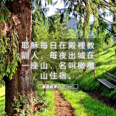 Picture 05 - 路 加 福 音 21:37 CUVT - 耶 穌 每 日 在 殿 裡 教 訓 人 ， 每 - Bible Verse Picture