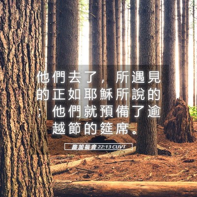 Picture 05 - 路 加 福 音 22:13 CUVT - 他 們 去 了 ， 所 遇 見 的 正 如 耶 - Bible Verse Picture