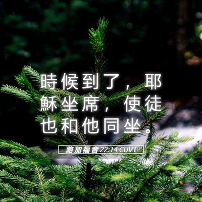 Picture 05 - 路 加 福 音 22:14 CUVT - 時 候 到 了 ， 耶 穌 坐 席 ， 使 徒 - Bible Verse Picture
