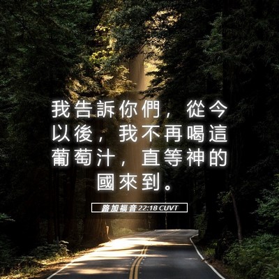 Picture 05 - 路 加 福 音 22:18 CUVT - 我 告 訴 你 們 ， 從 今 以 後 ， 我 - Bible Verse Picture