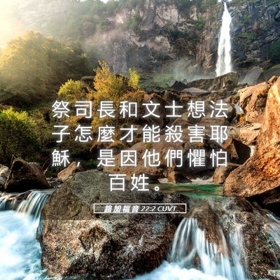 Picture 05 - 路 加 福 音 22:2 CUVT - 祭 司 長 和 文 士 想 法 子 怎 麼 才 - Bible Verse Picture