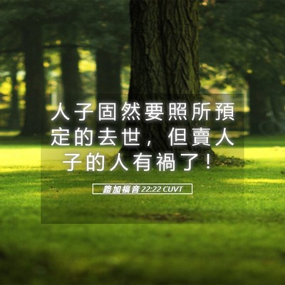 Picture 05 - 路 加 福 音 22:22 CUVT - 人 子 固 然 要 照 所 預 定 的 去 世 - Bible Verse Picture