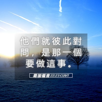 Picture 05 - 路 加 福 音 22:23 CUVT - 他 們 就 彼 此 對 問 ， 是 那 一 個 - Bible Verse Picture