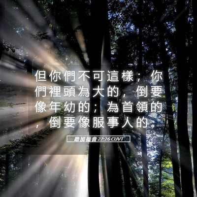 Picture 05 - 路 加 福 音 22:26 CUVT - 但 你 們 不 可 這 樣 ； 你 們 裡 頭 - Bible Verse Picture
