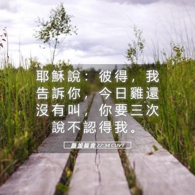 Picture 05 - 路 加 福 音 22:34 CUVT - 耶 穌 說 ： 彼 得 ， 我 告 訴 你 ， - Bible Verse Picture