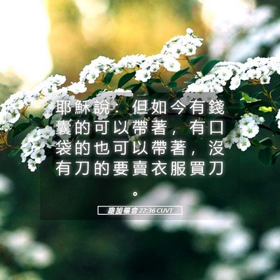 Picture 05 - 路 加 福 音 22:36 CUVT - 耶 穌 說 ： 但 如 今 有 錢 囊 的 可 - Bible Verse Picture