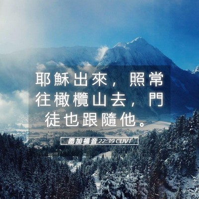Picture 05 - 路 加 福 音 22:39 CUVT - 耶 穌 出 來 ， 照 常 往 橄 欖 山 去 - Bible Verse Picture