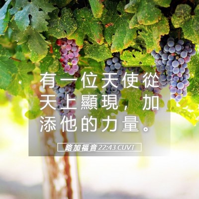Picture 05 - 路 加 福 音 22:43 CUVT - 有 一 位 天 使 從 天 上 顯 現 ， 加 - Bible Verse Picture