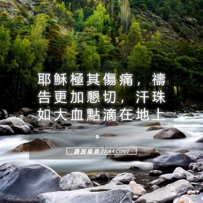 Picture 05 - 路 加 福 音 22:44 CUVT - 耶 穌 極 其 傷 痛 ， 禱 告 更 加 懇 - Bible Verse Picture