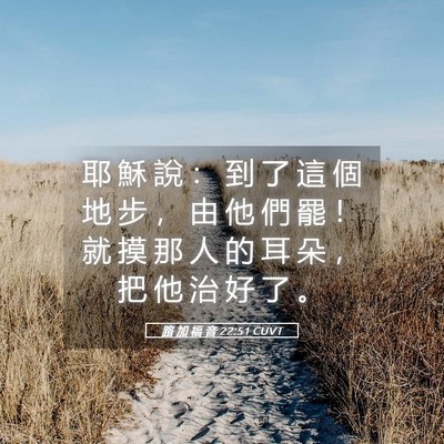 Picture 05 - 路 加 福 音 22:51 CUVT - 耶 穌 說 ： 到 了 這 個 地 步 ， 由 - Bible Verse Picture