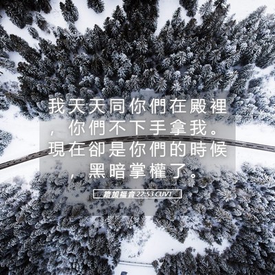 Picture 05 - 路 加 福 音 22:53 CUVT - 我 天 天 同 你 們 在 殿 裡 ， 你 們 - Bible Verse Picture