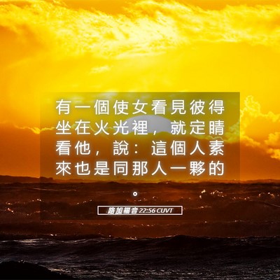 Picture 05 - 路 加 福 音 22:56 CUVT - 有 一 個 使 女 看 見 彼 得 坐 在 火 - Bible Verse Picture
