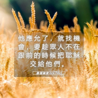 Picture 05 - 路 加 福 音 22:6 CUVT - 他 應 允 了 ， 就 找 機 會 ， 要 趁 - Bible Verse Picture
