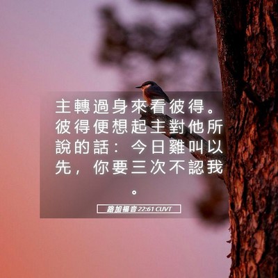 Picture 05 - 路 加 福 音 22:61 CUVT - 主 轉 過 身 來 看 彼 得 。 彼 得 便 - Bible Verse Picture