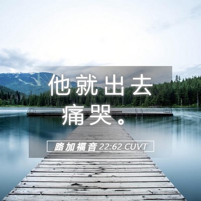 Picture 05 - 路 加 福 音 22:62 CUVT - 他 就 出 去 痛 哭 - Bible Verse Picture