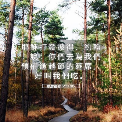 Picture 05 - 路 加 福 音 22:8 CUVT - 耶 穌 打 發 彼 得 、 約 翰 ， 說 ： - Bible Verse Picture