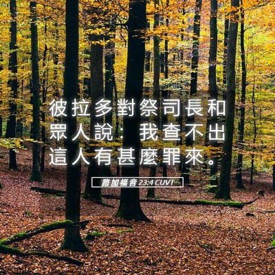 Picture 05 - 路 加 福 音 23:4 CUVT - 彼 拉 多 對 祭 司 長 和 眾 人 說 ： - Bible Verse Picture