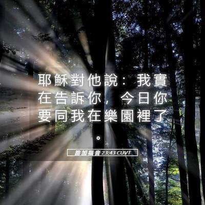 Picture 05 - 路 加 福 音 23:43 CUVT - 耶 穌 對 他 說 ： 我 實 在 告 訴 你 - Bible Verse Picture