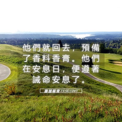 Picture 05 - 路 加 福 音 23:56 CUVT - 他 們 就 回 去 ， 預 備 了 香 料 香 - Bible Verse Picture