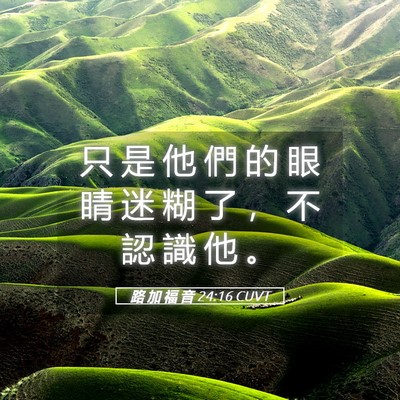 Picture 05 - 路 加 福 音 24:16 CUVT - 只 是 他 們 的 眼 睛 迷 糊 了 ， 不 - Bible Verse Picture