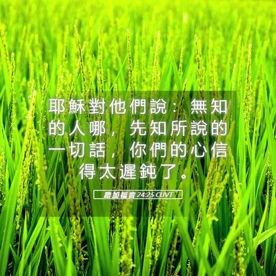 Picture 05 - 路 加 福 音 24:25 CUVT - 耶 穌 對 他 們 說 ： 無 知 的 人 哪 - Bible Verse Picture