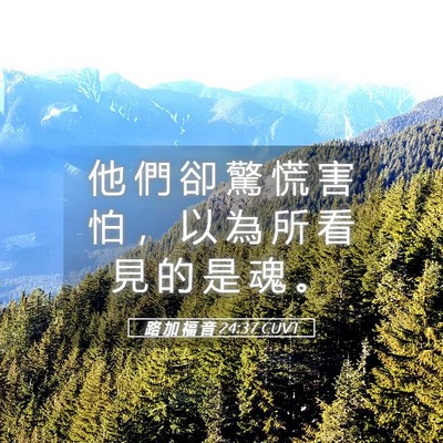 Picture 05 - 路 加 福 音 24:37 CUVT - 他 們 卻 驚 慌 害 怕 ， 以 為 所 看 - Bible Verse Picture