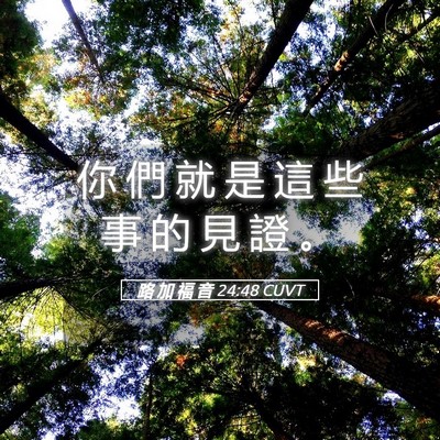 Picture 05 - 路 加 福 音 24:48 CUVT - 你 們 就 是 這 些 事 的 見 證 - Bible Verse Picture