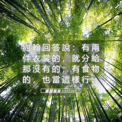 Picture 05 - 路 加 福 音 3:11 CUVT - 約 翰 回 答 說 ： 有 兩 件 衣 裳 的 - Bible Verse Picture