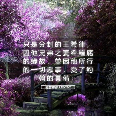 Picture 05 - 路 加 福 音 3:19 CUVT - 只 是 分 封 的 王 希 律 ， 因 他 兄 - Bible Verse Picture