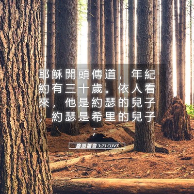 Picture 05 - 路 加 福 音 3:23 CUVT - 耶 穌 開 頭 傳 道 ， 年 紀 約 有 三 - Bible Verse Picture
