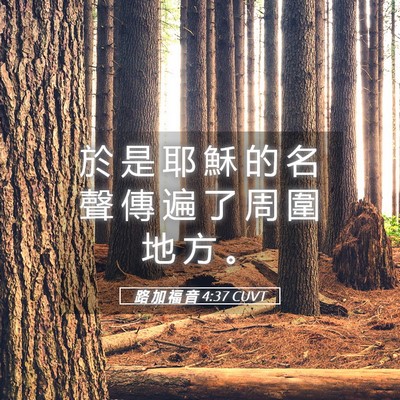 Picture 05 - 路 加 福 音 4:37 CUVT - 於 是 耶 穌 的 名 聲 傳 遍 了 周 圍 - Bible Verse Picture