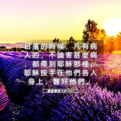 Picture 05 - 路 加 福 音 4:40 CUVT - 日 落 的 時 候 ， 凡 有 病 人 的 ， - Bible Verse Picture