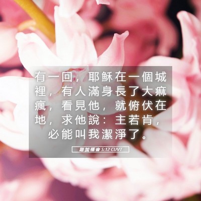 Picture 05 - 路 加 福 音 5:12 CUVT - 有 一 回 ， 耶 穌 在 一 個 城 裡 ， - Bible Verse Picture