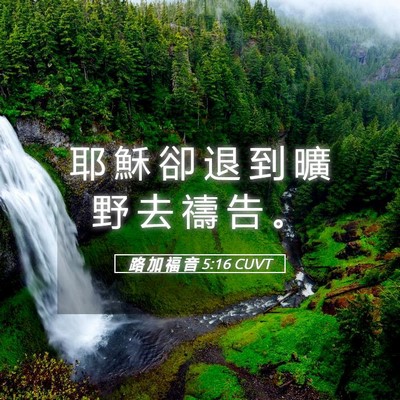 Picture 05 - 路 加 福 音 5:16 CUVT - 耶 穌 卻 退 到 曠 野 去 禱 告 - Bible Verse Picture