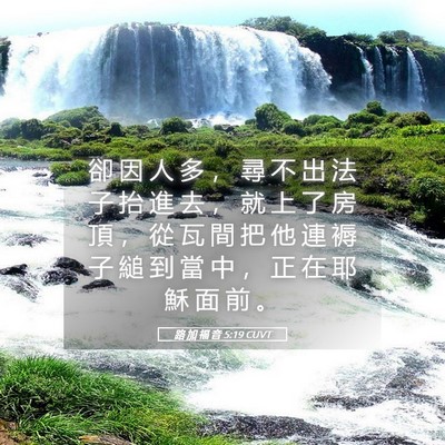 Picture 05 - 路 加 福 音 5:19 CUVT - 卻 因 人 多 ， 尋 不 出 法 子 抬 進 - Bible Verse Picture