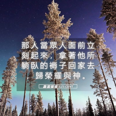 Picture 05 - 路 加 福 音 5:25 CUVT - 那 人 當 眾 人 面 前 立 刻 起 來 ， - Bible Verse Picture