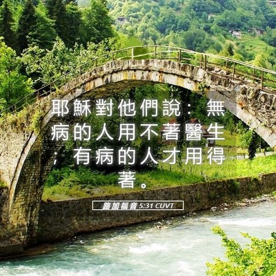 Picture 05 - 路 加 福 音 5:31 CUVT - 耶 穌 對 他 們 說 ： 無 病 的 人 用 - Bible Verse Picture