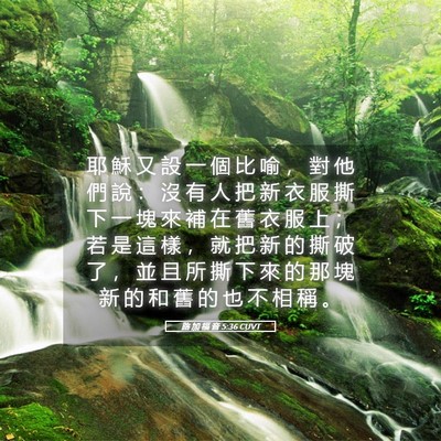 Picture 05 - 路 加 福 音 5:36 CUVT - 耶 穌 又 設 一 個 比 喻 ， 對 他 們 - Bible Verse Picture