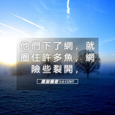 Picture 05 - 路 加 福 音 5:6 CUVT - 他 們 下 了 網 ， 就 圈 住 許 多 魚 - Bible Verse Picture