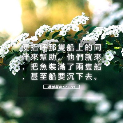 Picture 05 - 路 加 福 音 5:7 CUVT - 便 招 呼 那 隻 船 上 的 同 伴 來 幫 - Bible Verse Picture