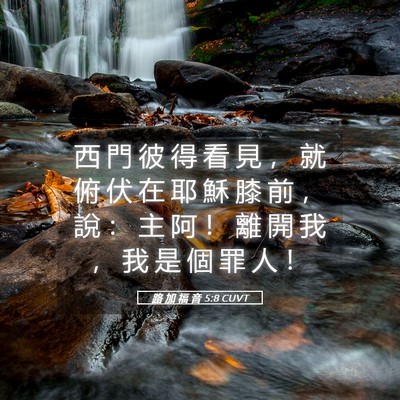 Picture 05 - 路 加 福 音 5:8 CUVT - 西 門 彼 得 看 見 ， 就 俯 伏 在 耶 - Bible Verse Picture