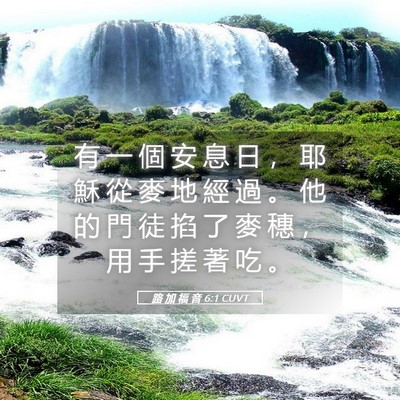 Picture 05 - 路 加 福 音 6:1 CUVT - 有 一 個 安 息 日 ， 耶 穌 從 麥 地 - Bible Verse Picture